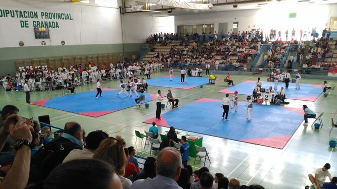 Éxito del Trofeo Corpus de taekwondo