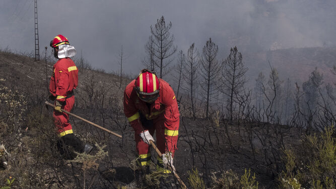 Bomberos trabajando en uno de los incendios activos en Andalucía