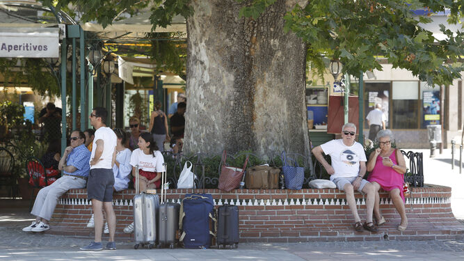 Turistas soportan el calor bajo un árbol en el centro.