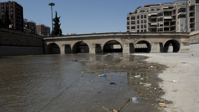 Vista del Puente Romano (o Puente Blanco) con residuos plásticos y orgánicos a los lados.