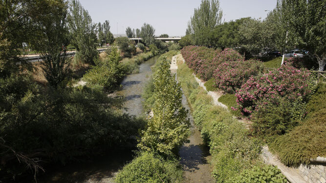 El río Genil retoma su fisonomía natural a la salida de la ciudad por el parque Tico Medina.