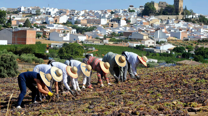 Las personas que trabajan en el campo –en Córdoba, en la imagen– son las que padecen contratos de menor duración.