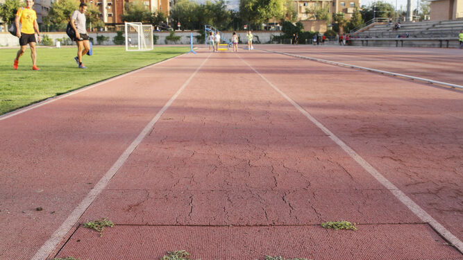 En algunas calles de la pista de atletismo había crecido la mala hierba y otras presentaban grietas.