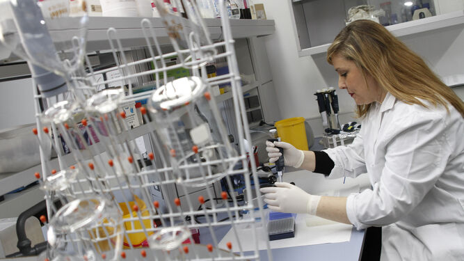 Una investigadora trabaja en un laboratorio de la UGR.