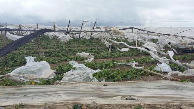 Destrozos causados por un tornado en El Ejido.