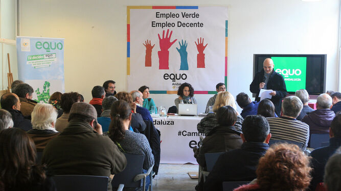 Equo Andalucía, en una reunión de sus órganos de dirección.
