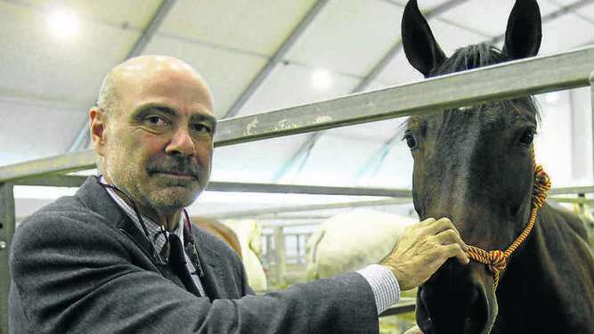 “Ahora tenemos los mejores caballos españoles de la historia”