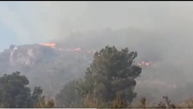 El incendio forestal en el Cerro Gordo de Motril se ha declarado sobre las doce del mediodía.