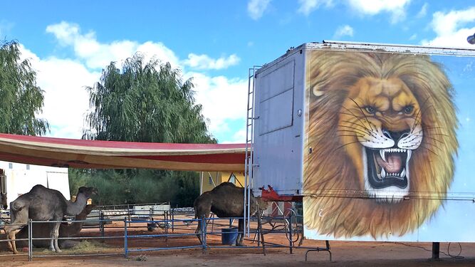 Huétor Tájar no permitirá circos con animales salvajes ni en terrenos públicos, ni en privados.