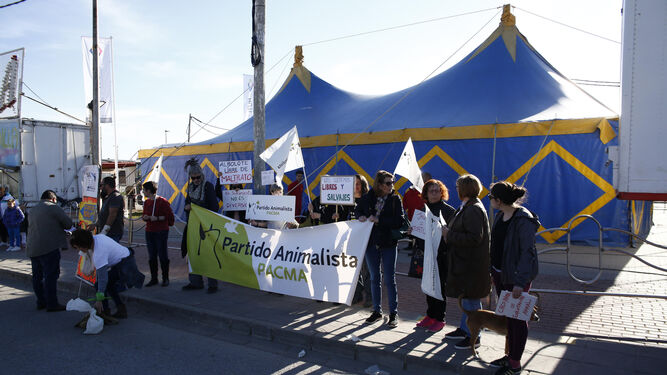 Los animalistas denuncian por amenazas a un trabajador del circo Roma de Albolote