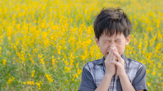 Las alergias se incrementan con la llegada del buen tiempo.