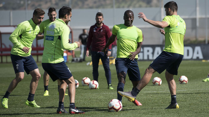 Varios jugadores del Granada, en un entrenamiento