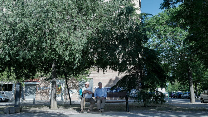 Dos personas mayores toman el aire en La Rosaleda