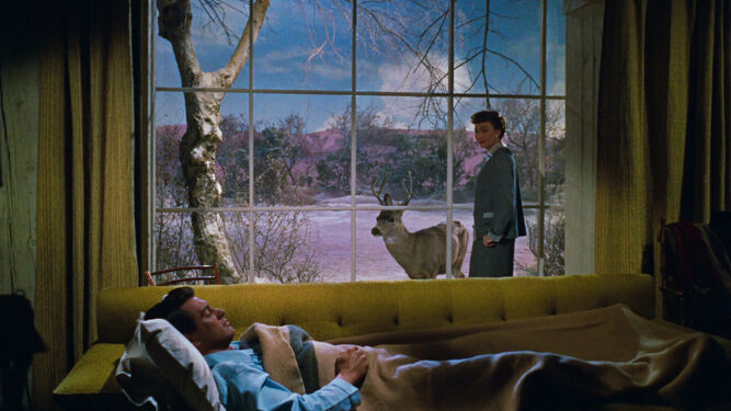Rock Hudson y Jane Wyman en una imagen de 'Sólo el cielo lo sabe' (1955).