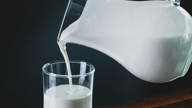 Tomar leche en cantidades adecuadas ayuda a prevenir enfermedades crónicas.