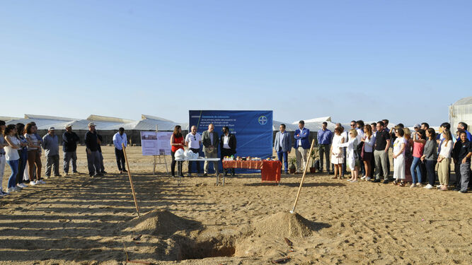 Bayer ha hecho el anuncio de la construcción en San Nicolás (Almería) esta mañana.