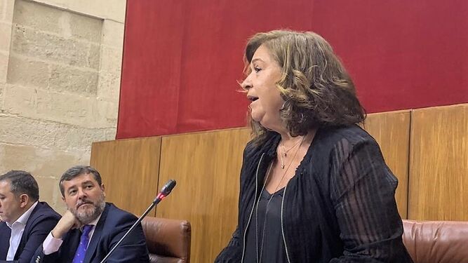 Intervención de Carmen Céspedes en el Parlamento andaluz.