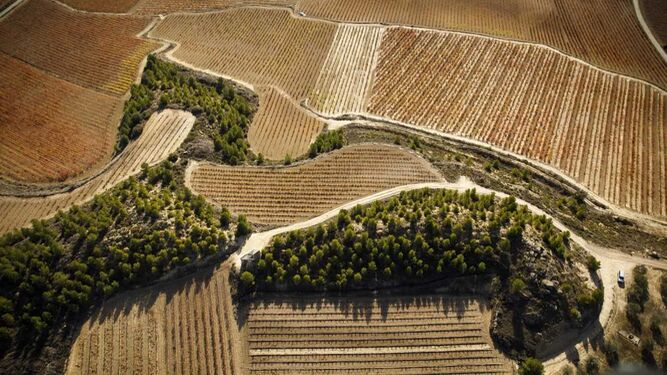 Rioja: La máxima calidad como meta