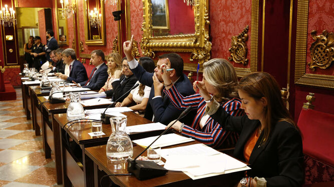 Los tres concejales de Vox en el Ayuntamiento de Granada emiten un voto en contra