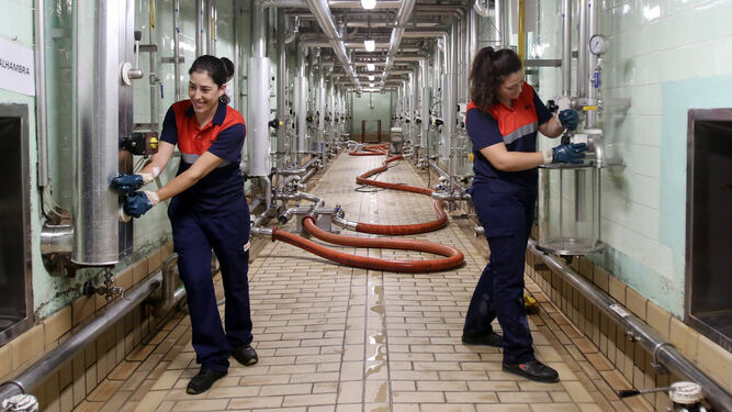 Dos operarias trabajan en un centro fabril de Córdoba.
