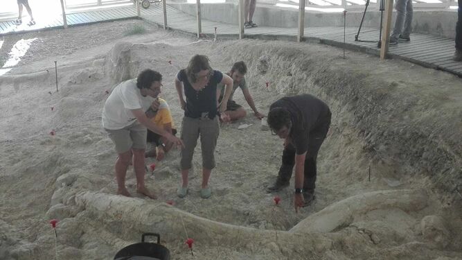 Investigadores en la excavación