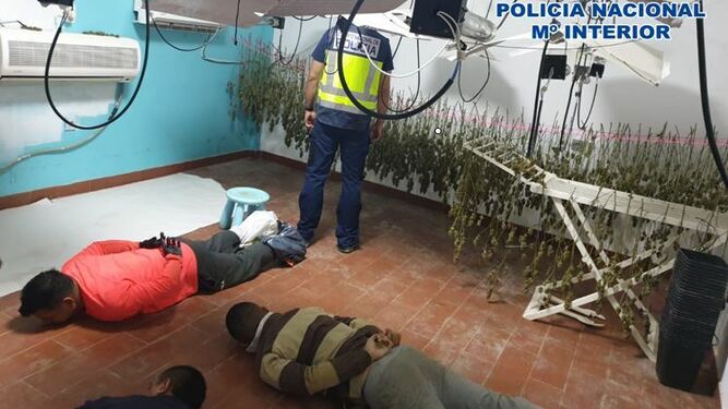 Varios de los detenidos tras descubrirse la plantación de marihuana en Dílar.