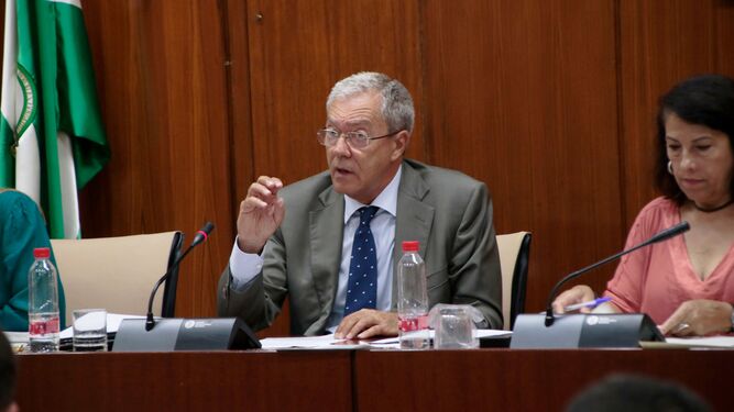 El consejero de Economía, Rogelio Velasco, este jueves en el Parlamento.