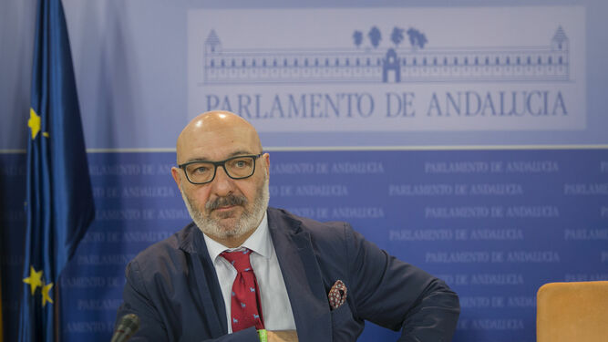 El portavoz parlamentario de Vox, Alejandro Hernández, durante su comparecencia en la mañana de este miércoles.