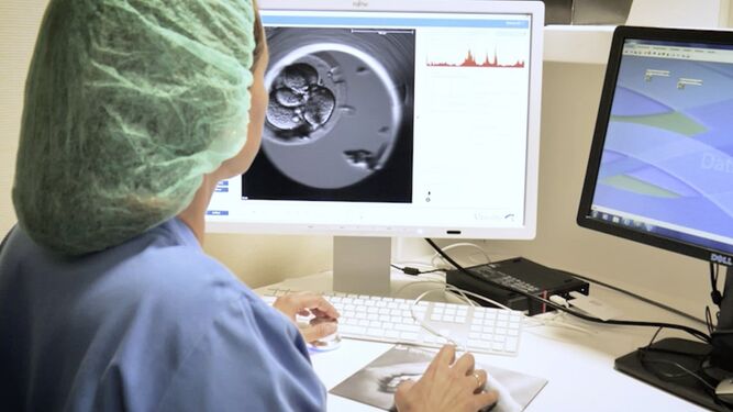 Algunos incubadores incorporan un software que toma fotos del embrión cada 5 minutos.
