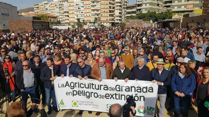 Miles de 'lazos verdes' por la agricultura: más de 3.000 personas se manifiestan por la crisis del sector en la costa de Granada
