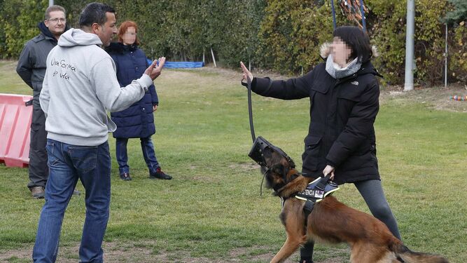 Víctimas de violencia machista entrenan a sus perros y practican técnicas de autodefensa en Madrid.