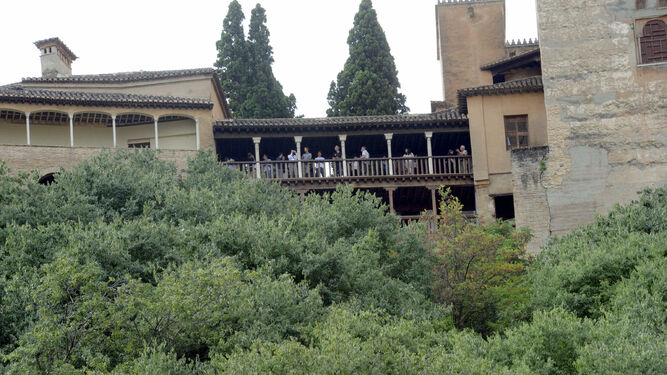 El bosque de la Alhambra, susceptible a las “20 plagas” que teme Europa