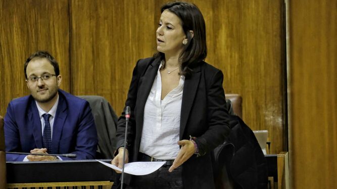 Ana Vanessa García, parlamentaria andaluza del PP, durante su intervención