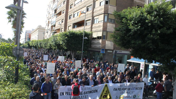 Manifestación del sector hortofruticola el pasado 19 de noviembre.