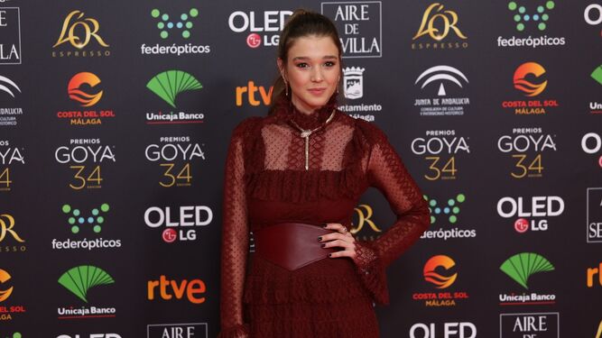 La alfombra roja de los Goya 2020 en M&aacute;laga