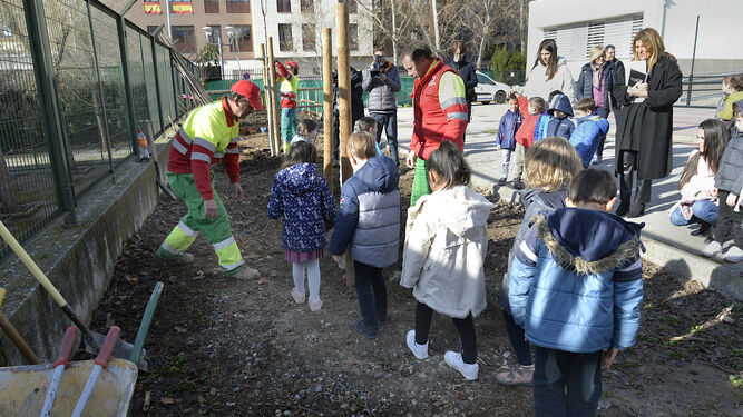 El Ayuntamiento de Granada planta 73 árboles en colegios por el medio ambiente