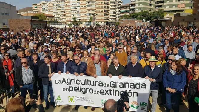 Granada se suma a las movilizaciones agrarias por un precio justo con una tractorada