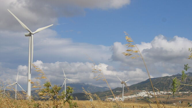 Desciende el consumo de energías renovables en Granada