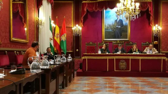 El debate por la legalización de negocios en la Vega vuelve al Ayuntamiento de Granada