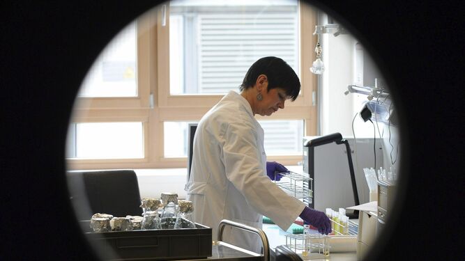 Un laboratorio de Granada exporta kit de detección específicos para coronavirus