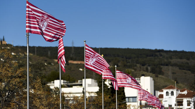 Banderas del Granada ondean al viento,