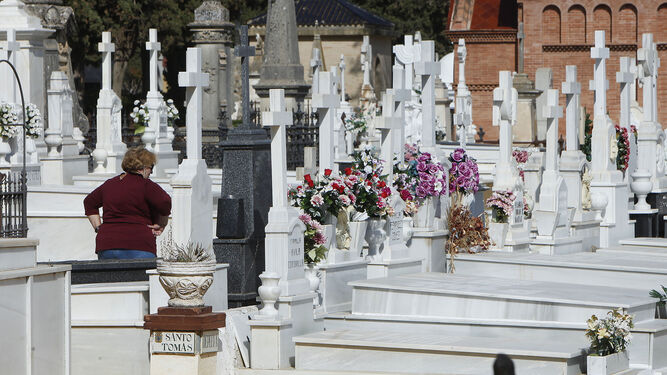 Lápidas en el cementerio de Sevilla.
