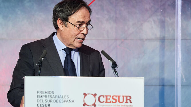 Ricardo Pumar, presidente de Cesur