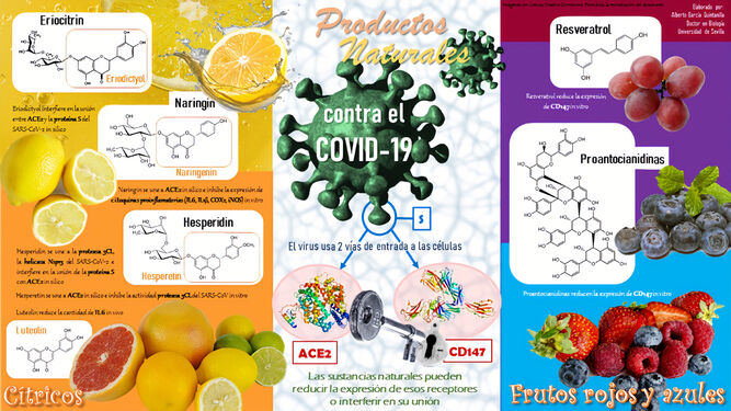 Las capacidades profilácticas de los productos naturales ayudan a combatir al CoViD-19