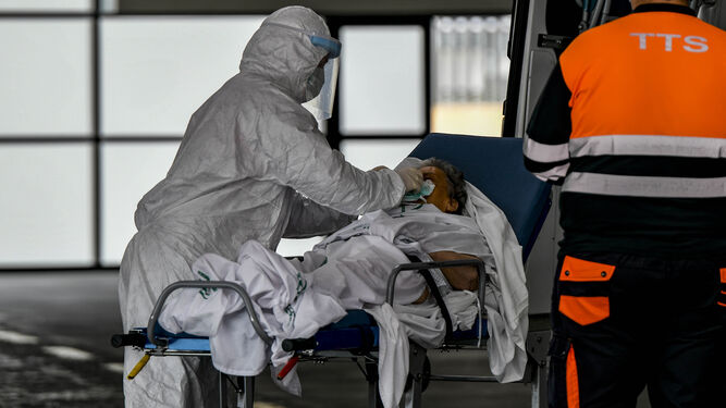 Coronavirus en Granada: 14 muertes en un día empañan la masiva curación de pacientes