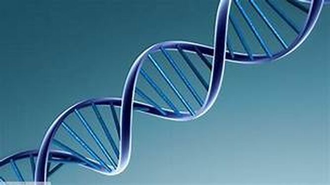 Cómo el ADN se ha convertido en parte esencial de nuestras vidas