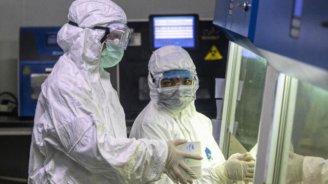 Salud inicia los test del coronavirus a los trabajadores de la Ayuda a Domicilio de Granada