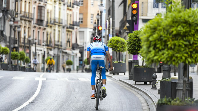 Granada recuperará el servicio de alquiler de bicicletas y patinetes
