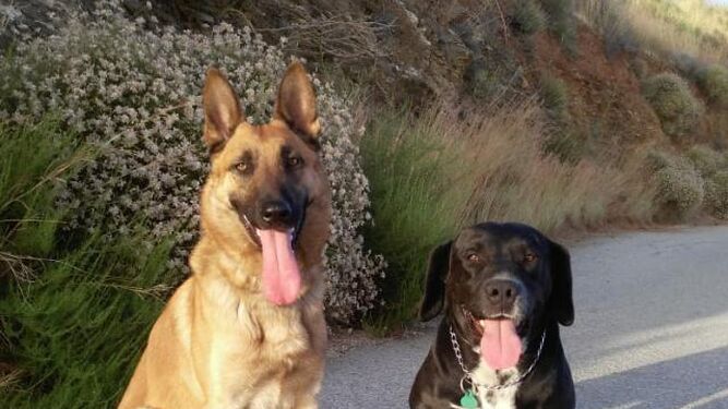Los dos agentes de la Patrulla Canina de la Policía Local de Almuñécar.