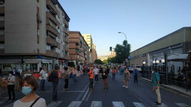 Manifestación en Granada: el Zaidín se echa a la calle para defender sus árboles de la calle Palencia